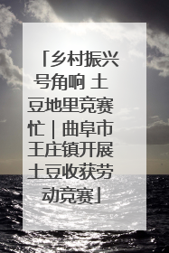 乡村振兴号角响 土豆地里竞赛忙｜曲阜市王庄镇开展土豆收获劳动竞赛
