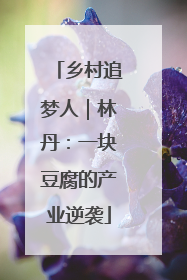 乡村追梦人｜林丹：一块豆腐的产业逆袭