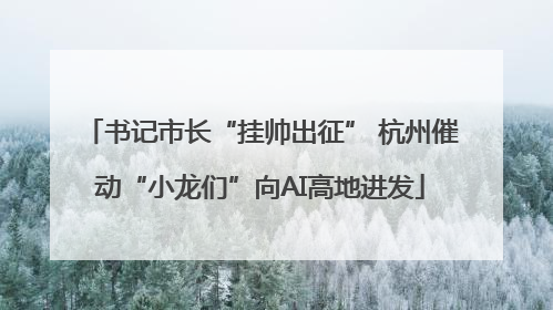 书记市长“挂帅出征” 杭州催动“小龙们”向AI高地进发