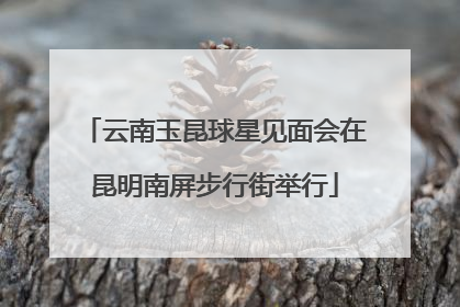 云南玉昆球星见面会在昆明南屏步行街举行