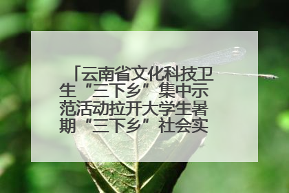 云南省文化科技卫生“三下乡”集中示范活动拉开大学生暑期“三下乡”社会实践活动序幕