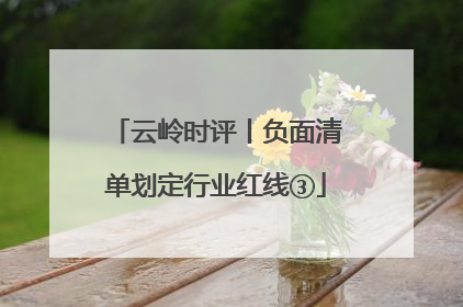 云岭时评丨负面清单划定行业红线③