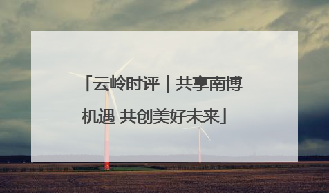 云岭时评｜共享南博机遇 共创美好未来
