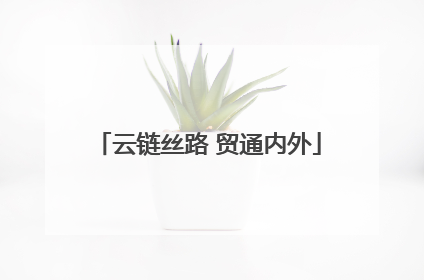 云链丝路 贸通内外