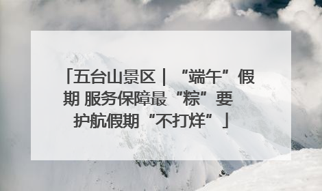 五台山景区｜“端午”假期 服务保障最“粽”要 护航假期“不打烊”