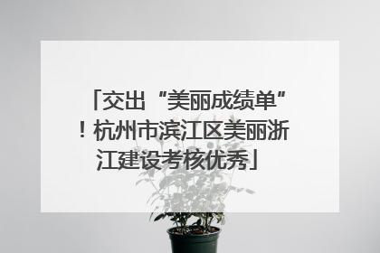 交出“美丽成绩单”！杭州市滨江区美丽浙江建设考核优秀