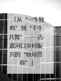 从“一牛独鸣”到“千牛共舞”——古渡河口乡村振兴的“牧场答卷”