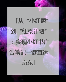 从“小红盟”到“红京计划”：实现小红书广告笔记一键直达京东
