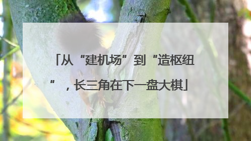 从“建机场”到“造枢纽”，长三角在下一盘大棋