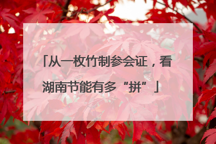 从一枚竹制参会证，看湖南节能有多“拼”