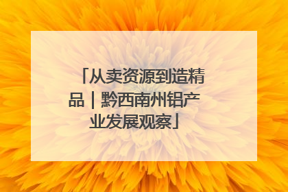 从卖资源到造精品｜黔西南州铝产业发展观察