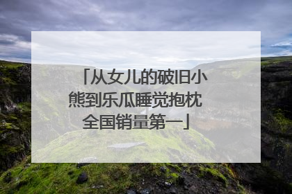 从女儿的破旧小熊到乐瓜睡觉抱枕全国销量第一