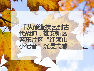 从酿造技艺到古代战道，雄安新区容东片区“红领巾小记者”沉浸式感受历史韵味