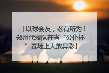 以球会友，老有所为！郑州代表队在省“公仆杯”赛场上大放异彩