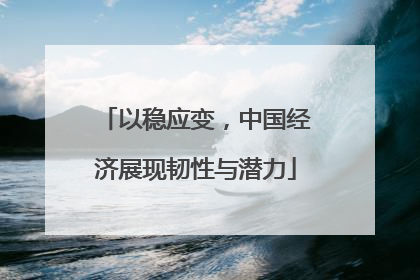 以稳应变，中国经济展现韧性与潜力