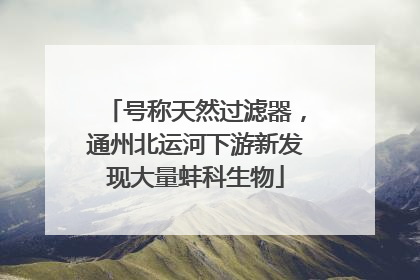 号称天然过滤器，通州北运河下游新发现大量蚌科生物