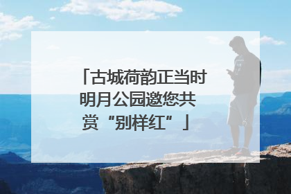 古城荷韵正当时 明月公园邀您共赏“别样红”