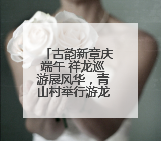 古韵新章庆端午 祥龙巡游展风华，青山村举行游龙盛会