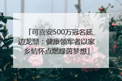 可喜安500万冠名延边龙鼎：健康领军者以家乡情怀点燃绿茵梦想