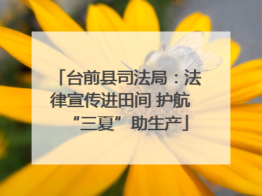 台前县司法局：法律宣传进田间 护航“三夏”助生产
