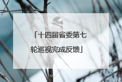 十四届省委第七轮巡视完成反馈