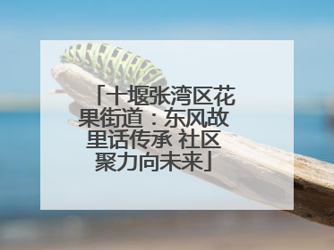 十堰张湾区花果街道：东风故里话传承 社区聚力向未来