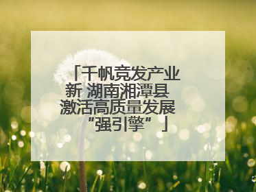 千帆竞发产业新 湖南湘潭县激活高质量发展“强引擎”