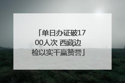 单日办证破1700人次 西藏边检以实干赢赞誉