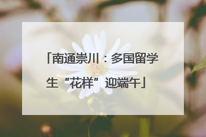 南通崇川：多国留学生“花样”迎端午