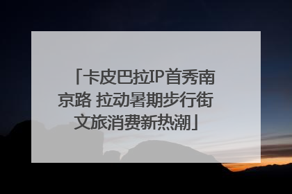 卡皮巴拉IP首秀南京路 拉动暑期步行街文旅消费新热潮