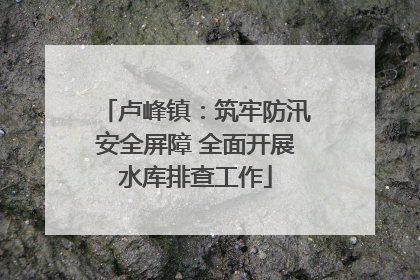 卢峰镇：筑牢防汛安全屏障 全面开展水库排查工作