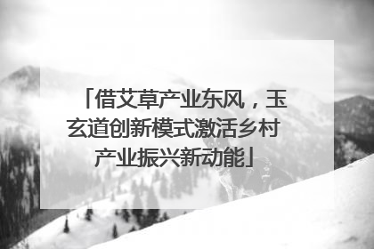 借艾草产业东风，玉玄道创新模式激活乡村产业振兴新动能