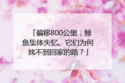 偏移800公里，鲱鱼集体失忆。它们为何找不到回家的路？