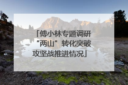傅小林专题调研“两山”转化突破攻坚战推进情况