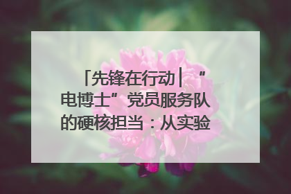 先锋在行动 ▏“电博士”党员服务队的硬核担当：从实验室到抗洪一线