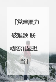 党建聚力破难题 联动防汛显担当