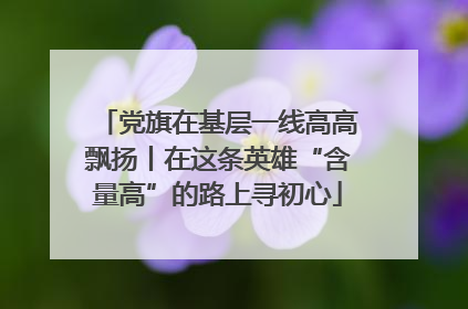 党旗在基层一线高高飘扬丨在这条英雄“含量高”的路上寻初心