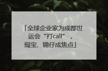 全球企业家为成都世运会“打call”，蜀宝、锦仔成焦点