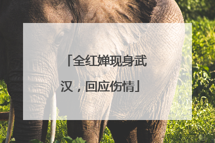 全红婵现身武汉，回应伤情