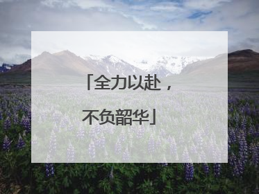 全力以赴，不负韶华