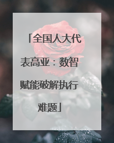 全国人大代表高亚：数智赋能破解执行难题