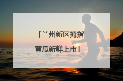 兰州新区拇指黄瓜新鲜上市