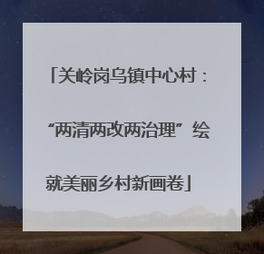 关岭岗乌镇中心村：“两清两改两治理”绘就美丽乡村新画卷