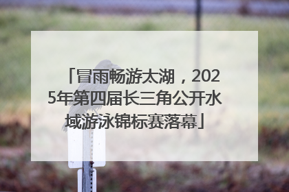 冒雨畅游太湖，2025年第四届长三角公开水域游泳锦标赛落幕