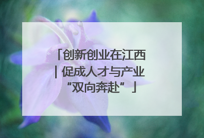 创新创业在江西｜促成人才与产业“双向奔赴”