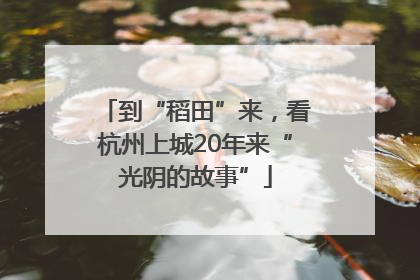 到“稻田”来，看杭州上城20年来“光阴的故事”