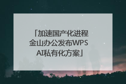 加速国产化进程 金山办公发布WPS AI私有化方案