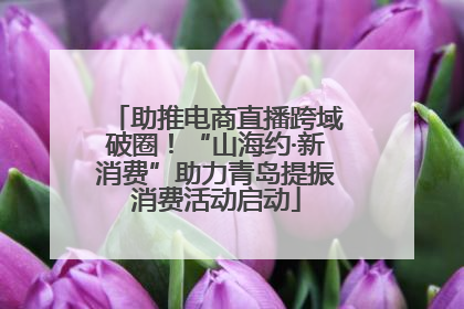 助推电商直播跨域破圈！“山海约·新消费”助力青岛提振消费活动启动