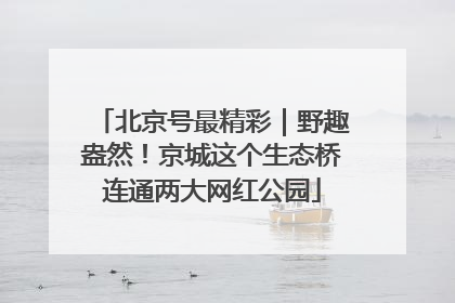 北京号最精彩｜野趣盎然！京城这个生态桥连通两大网红公园