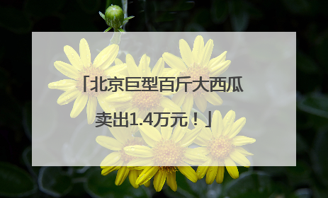 北京巨型百斤大西瓜卖出1.4万元！